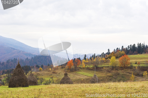 Image of Carpathians mountain in autumn