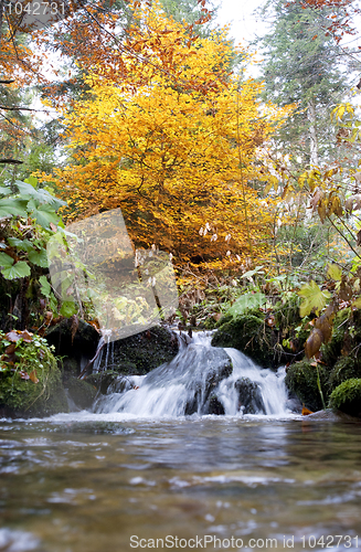 Image of Carpathian Mountains in autumn