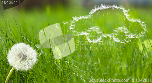 Image of Flying dandelion's seed form of a car