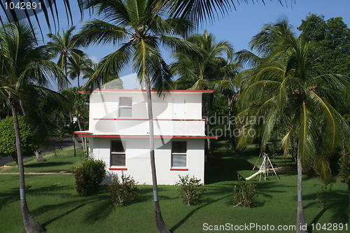 Image of Tropical Home