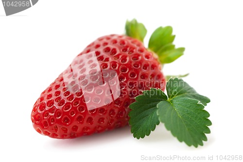 Image of Fresh strawberry isolated (macro)