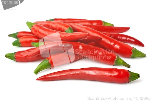 Image of Spicy red chilies isolated on white background