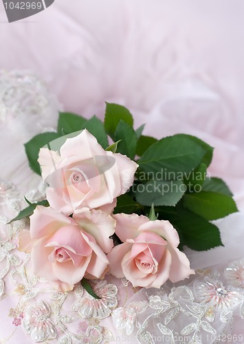 Image of Pink roses on wedding lace (copy space)