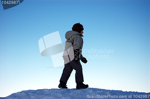 Image of Towards the winter sky