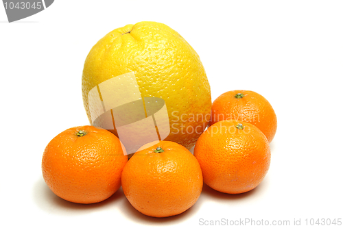 Image of Orange and mandarins isolated