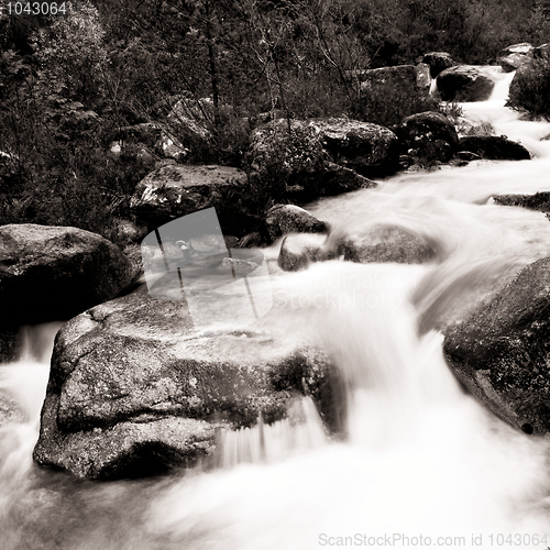 Image of Mountain River 