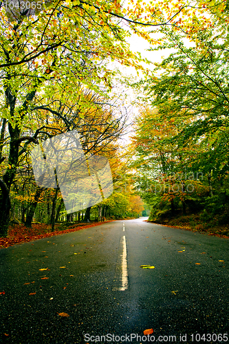 Image of Beautiful road