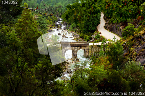 Image of Mountain River 