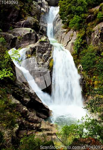 Image of Water Spring