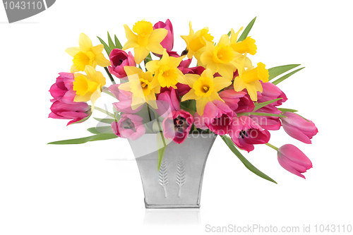 Image of Tulip and Daffodil Beauty