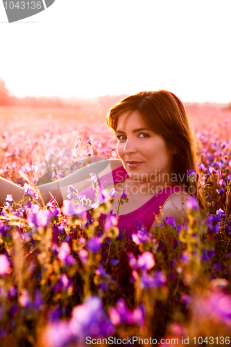 Image of Relaxing on the meadow