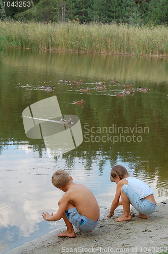 Image of kids feeding ducks