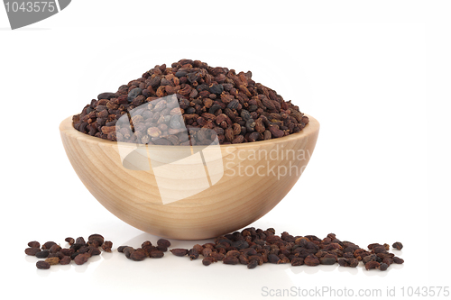 Image of Privet Fruit Herbal Medicine