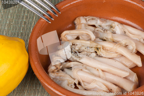 Image of Razor clams