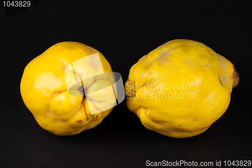 Image of Quince