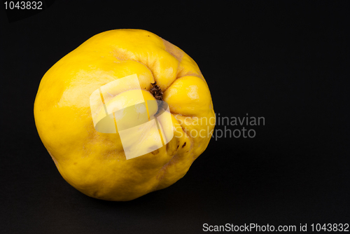 Image of Quince