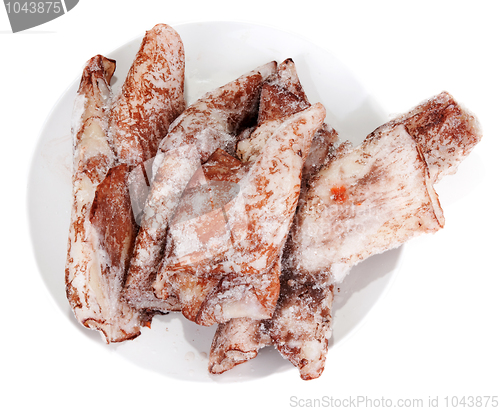 Image of Frozenned squids in plate