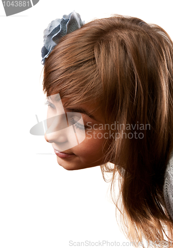 Image of Portrait of the young girl in flower in hair