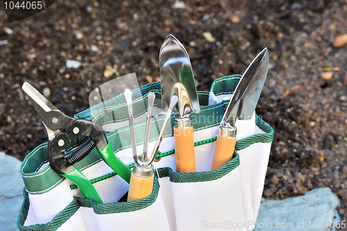 Image of Detail of gardening tools in tool bag - outdoor