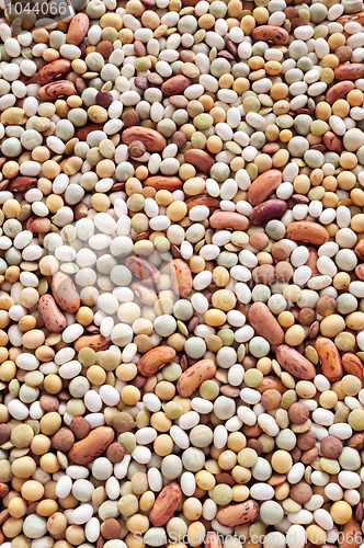 Image of Mixed pulse – lentils, peas, soybeans, beans - background