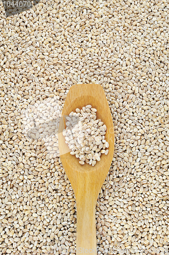 Image of Wooden spoon and dried pearled barley