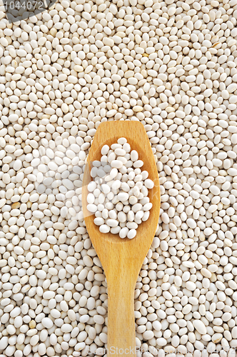 Image of Wooden spoon and dried white navy beans