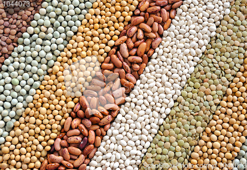 Image of Mixture of dried lentils, peas, soybeans, beans  - background