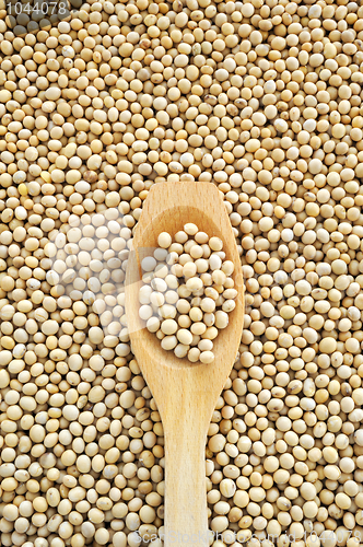 Image of Wooden spoon and dried soybeans