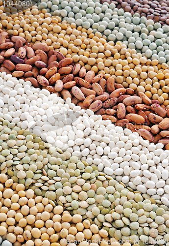 Image of Mixture of dried lentils, peas, soybeans, beans  - background