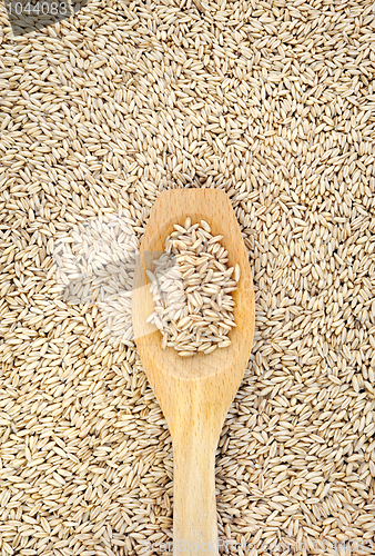 Image of Wooden spoon and dried husked oats