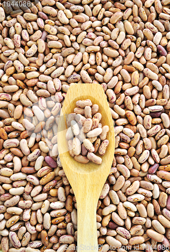 Image of Wooden spoon and dried pinto beans