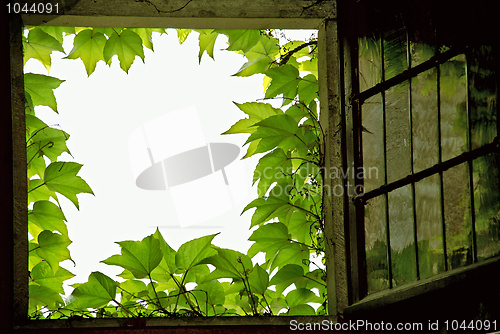 Image of Window