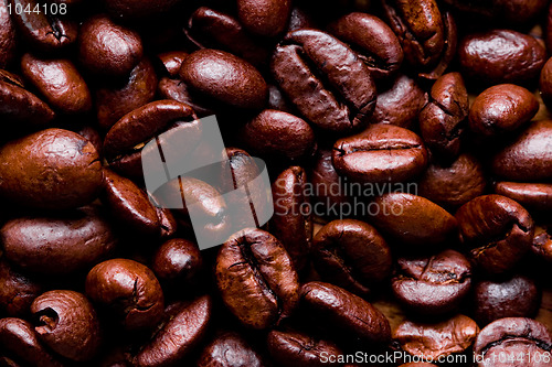 Image of fried coffee beans