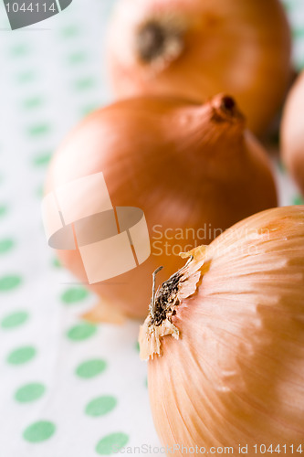 Image of ripe onions on textile background