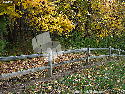 Image of Wooden Fence In Autumn