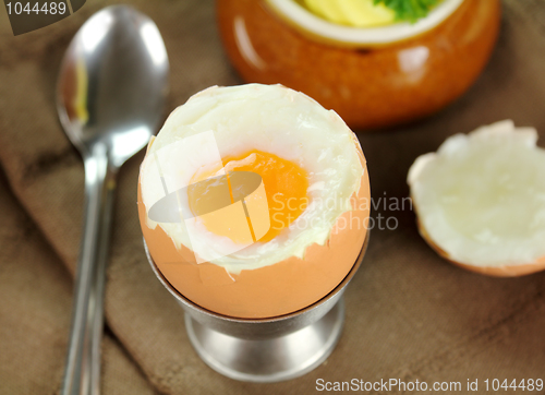 Image of Hard Boiled Egg