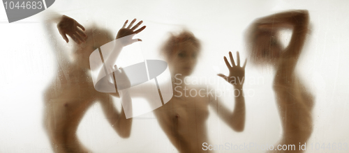Image of Dancing silhouettes in shower