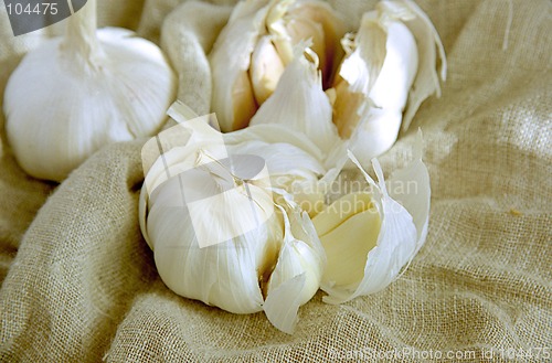 Image of Garlic cloves I