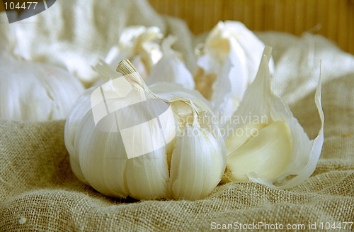 Image of Garlic cloves III