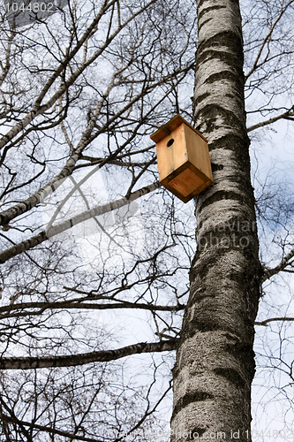 Image of Bird house hanging on the trunk of a birch