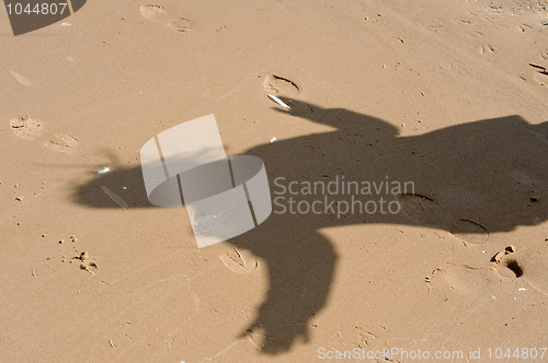 Image of Shadow in dune