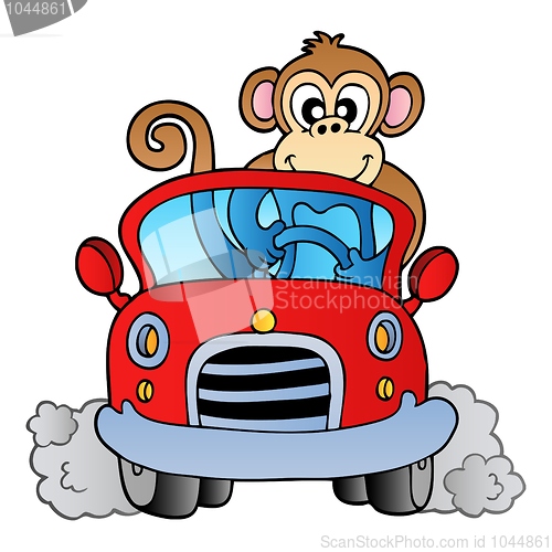 Image of Monkey in car