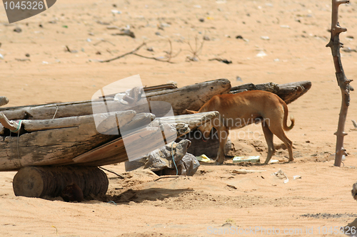 Image of Beach at Kalpitiya