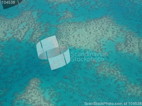 Image of Barrier Reef