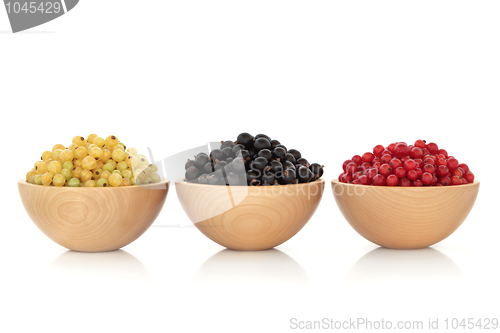 Image of White, Black and Red Currant Fruit