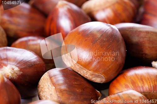 Image of hazelnuts