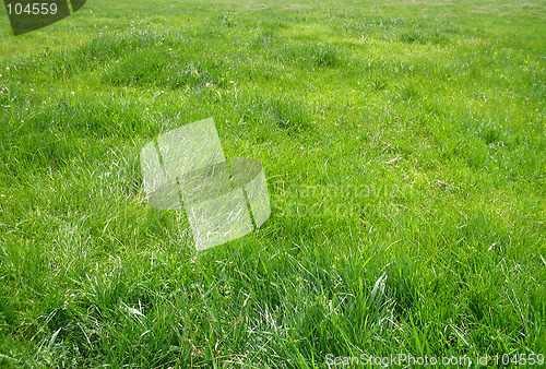 Image of backround