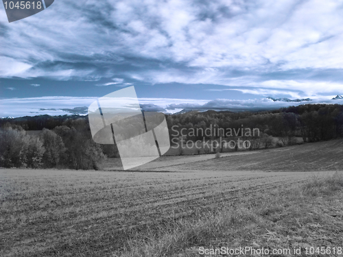 Image of Infrared landscape