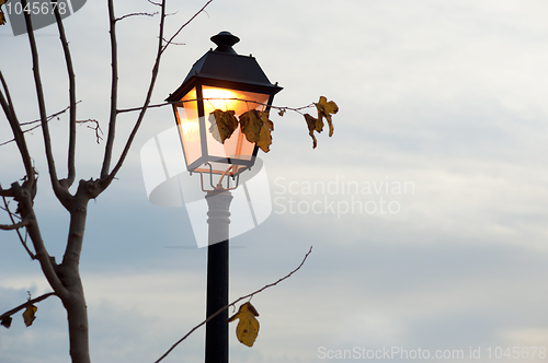 Image of Autumn feeling