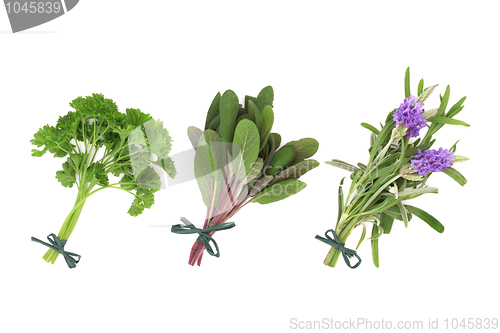 Image of Parsley, Sage and Lavender Herbs